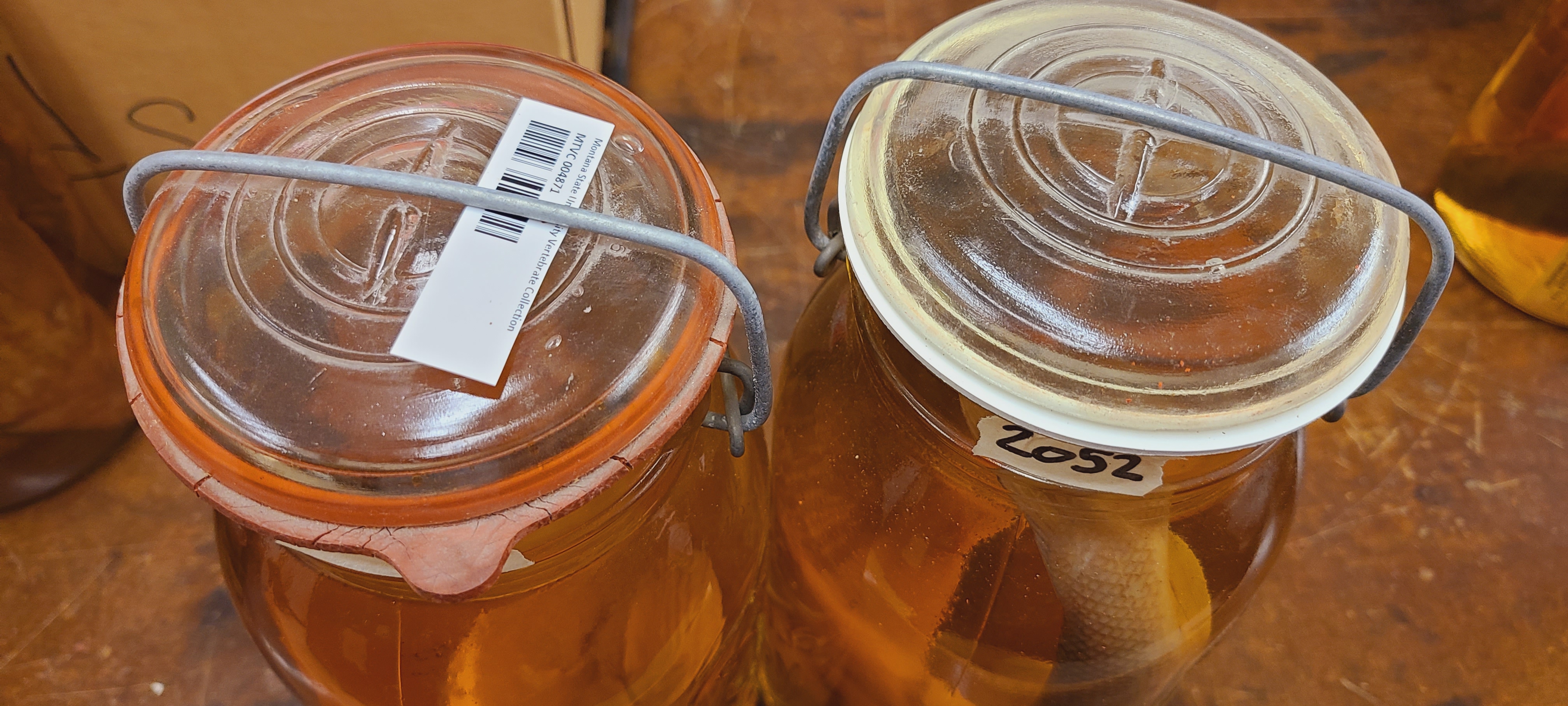 Replacing jar seals