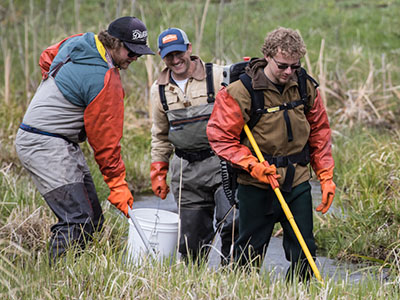 three students electroshocking stream in waders