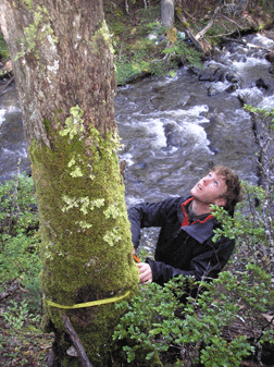 Mike surveying a tree creekside