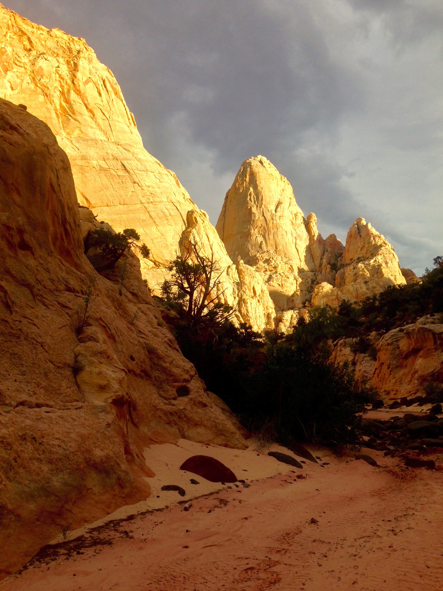 first creek canyon