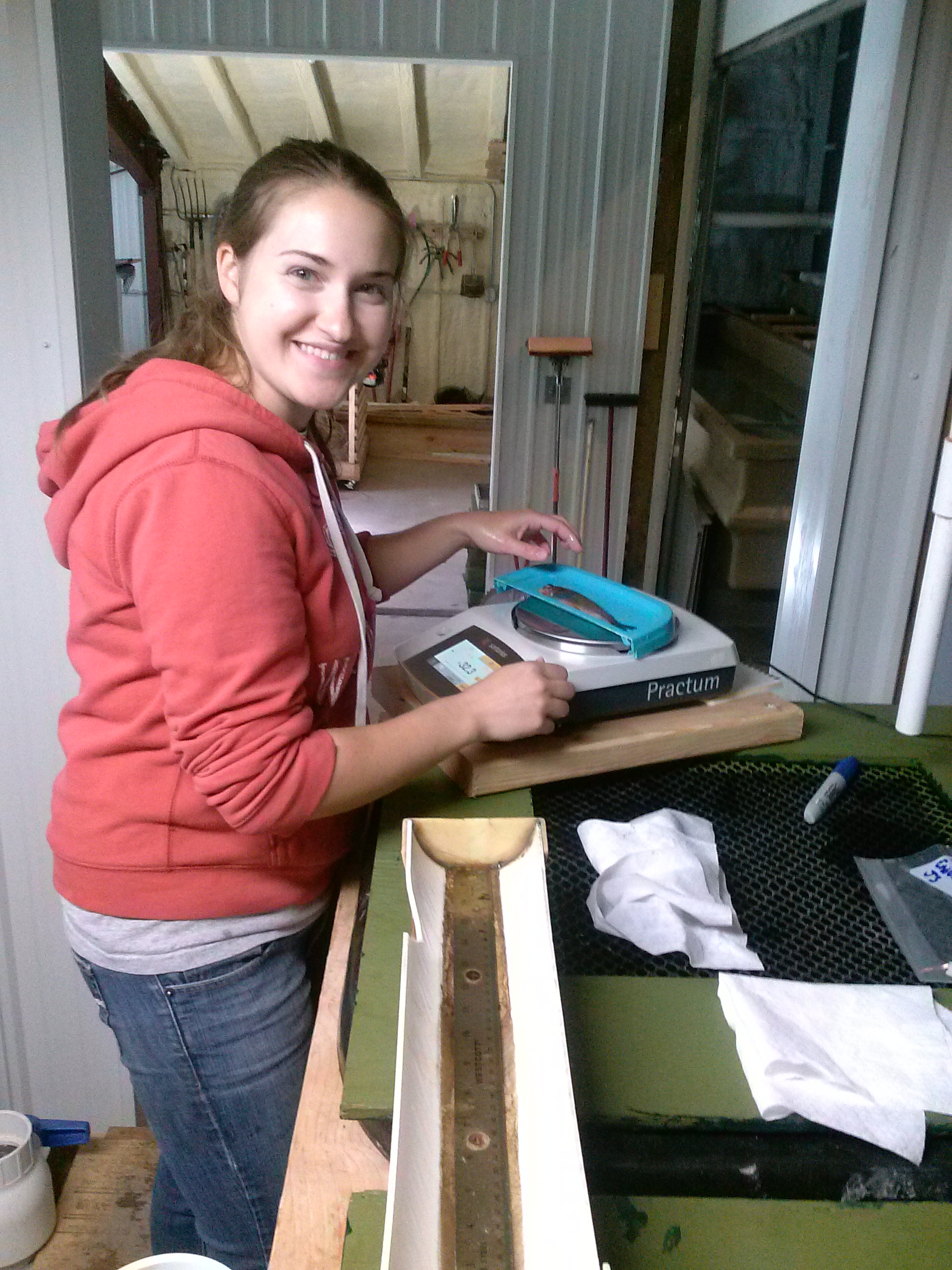 Jackie weighing fish in the lab