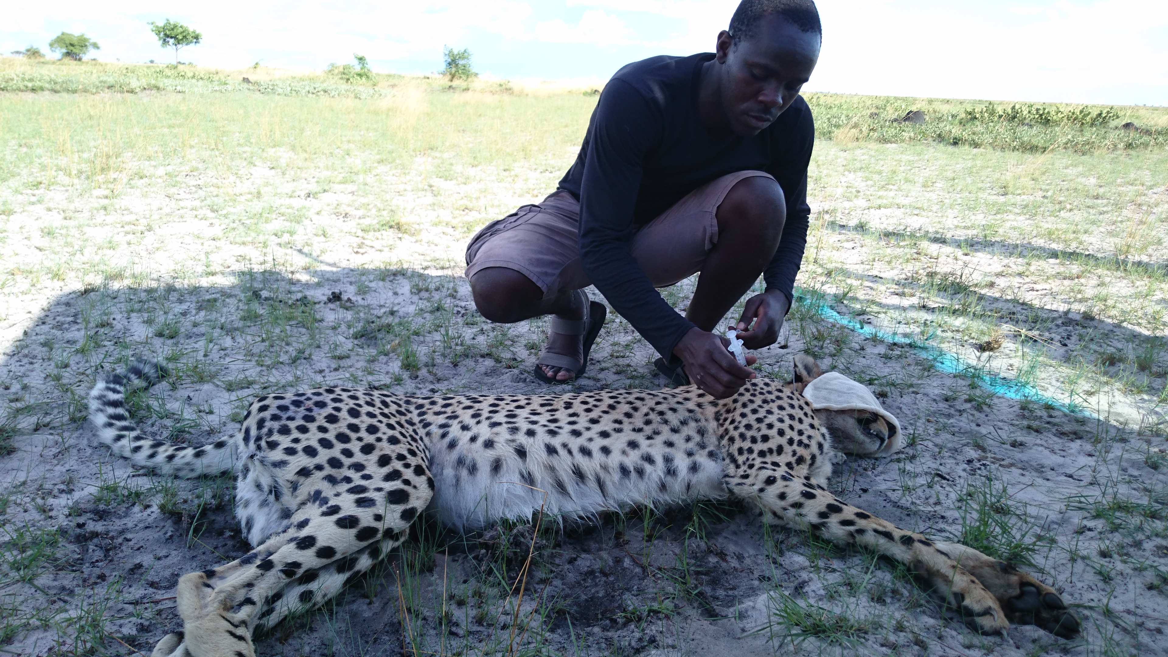 Kambwiri Banda