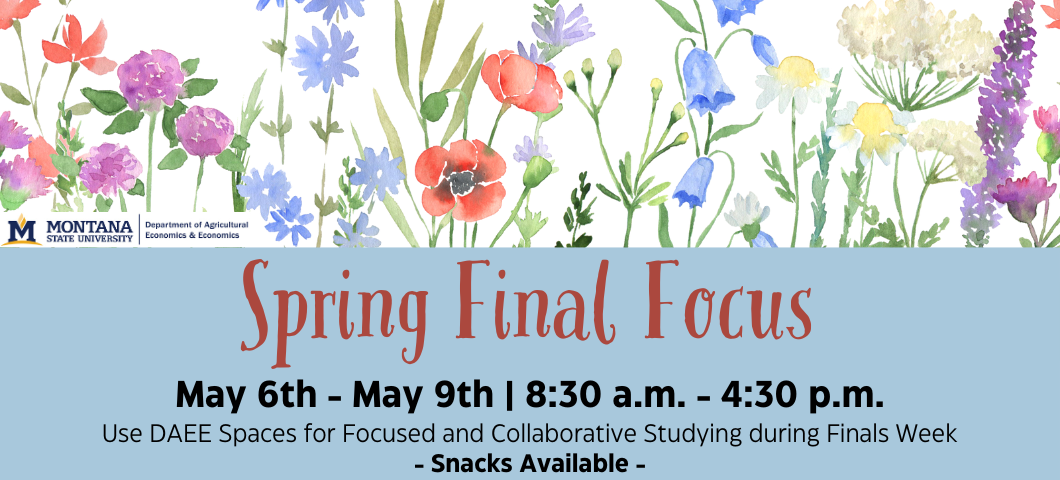 DAEE Spring Final Focus May 6th - May 9th 8:30AM - 4:30PM