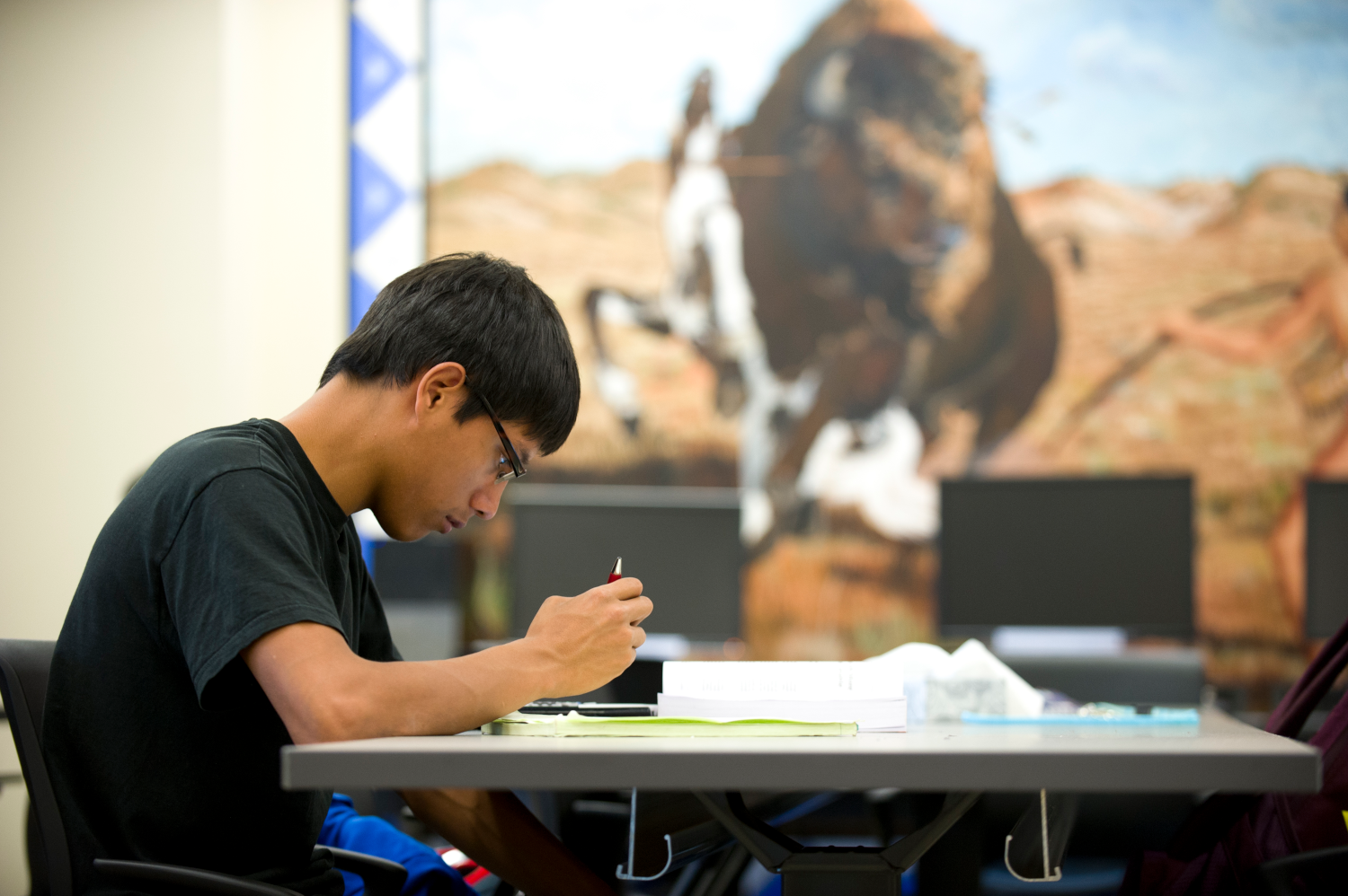 Student working in front of computers and western art background