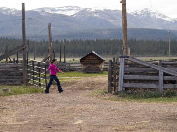 Person on farm at gate