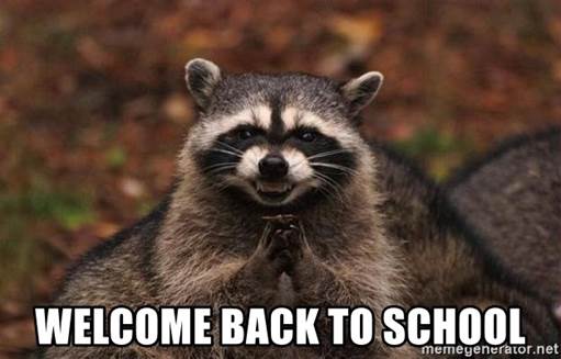 Welcome Back to School - Grinning Raccoon
