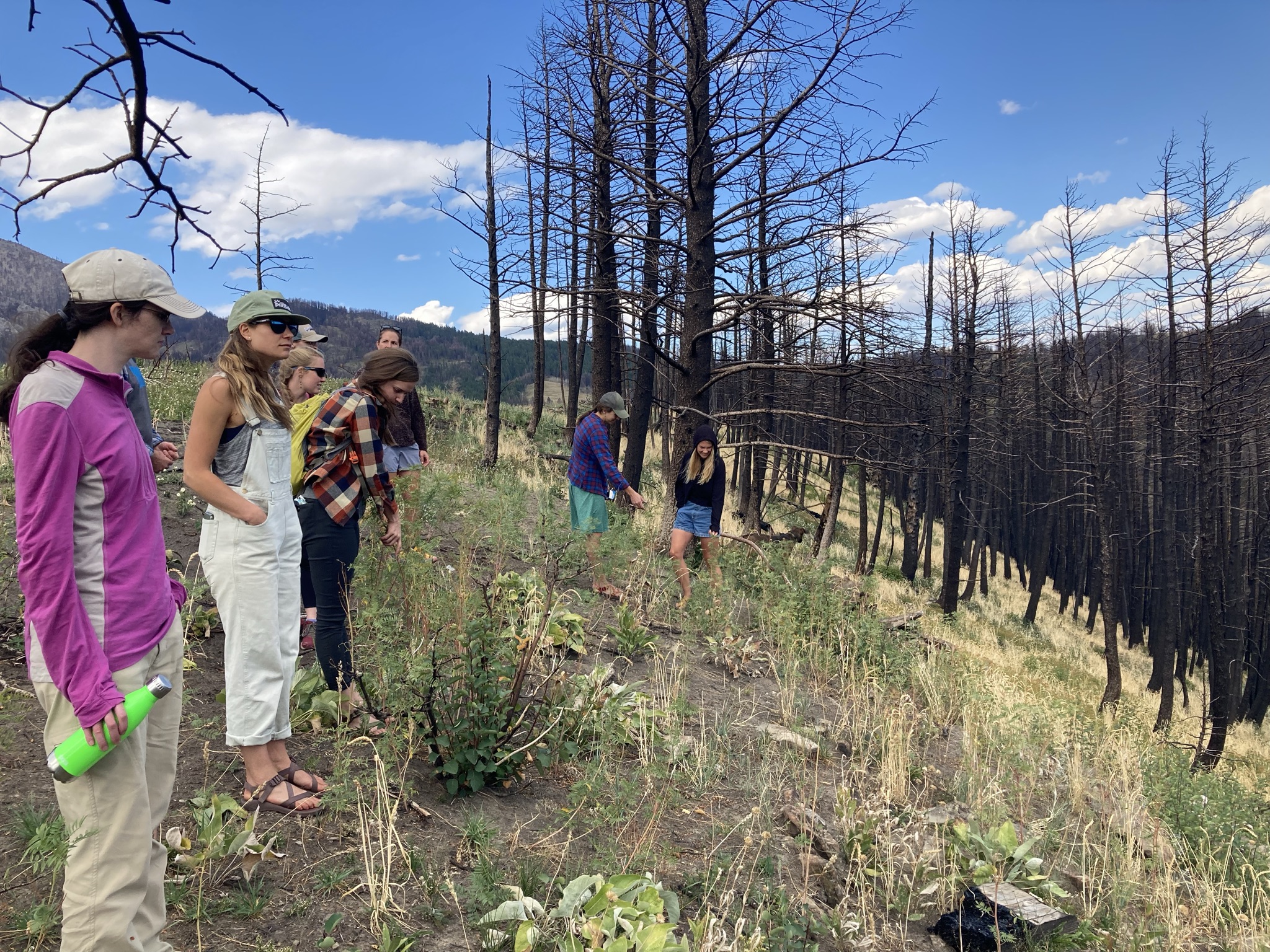 Students in burn area 