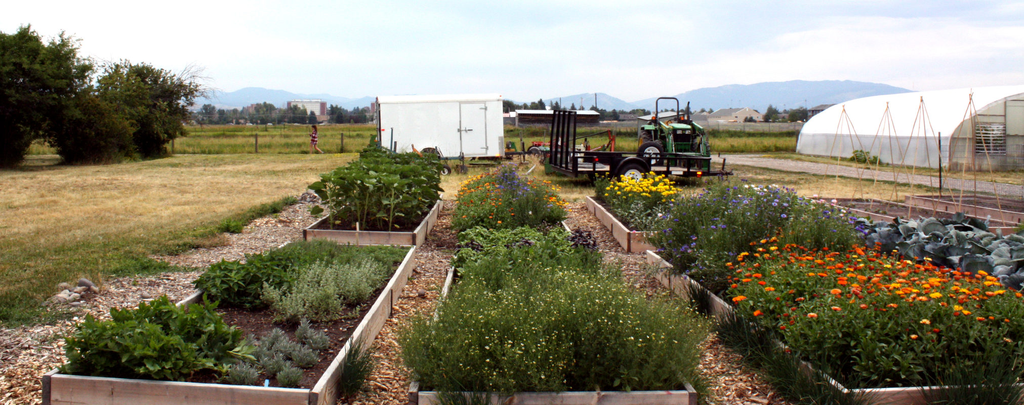 Towne’s Harvest Garden celebrates 10-year anniversary