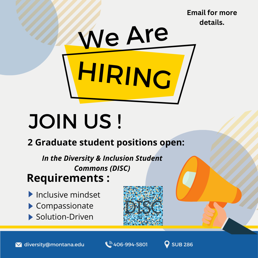 DISC graduate student position description