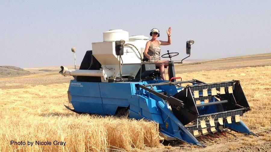 female driving farm equipment in crop field waving