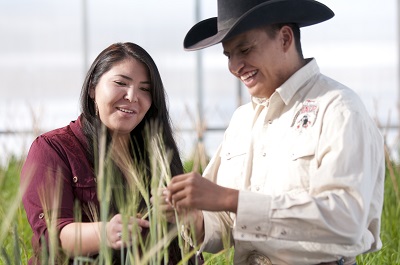 two people looking at a crop