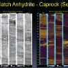 Core samples from the caprock at Kevin Dome under normal light (L) and UV light (R) showing interlamination of crinkly dolomite and bitumen, possible evidence of microbial mats encased in evaporate facies. (D. Bowen, Big Sky Carbon Sequestration Partnership)