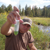 Previous student Jake Valenzuela collecting field samples of algae to analyze for biofuel use. (M. Fields lab) 
