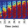 Use of wax encapsulated beads and Magnetic Resonance Imaging to study heat flow and transport in packed beds (Dinel Perera MS Thesis 2017, R. Anderson, S. Codd, J. Seymour)