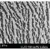 Porous, oriented ceramic microstructure for fuel cells created using novel freeze tape casting method developed by S. Sofie

