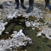 Students on a geology field trip studying modern lacustrine depositional environments.