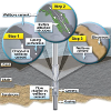 Biomineralization well sealing process