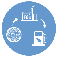 Energy Biotechnologies