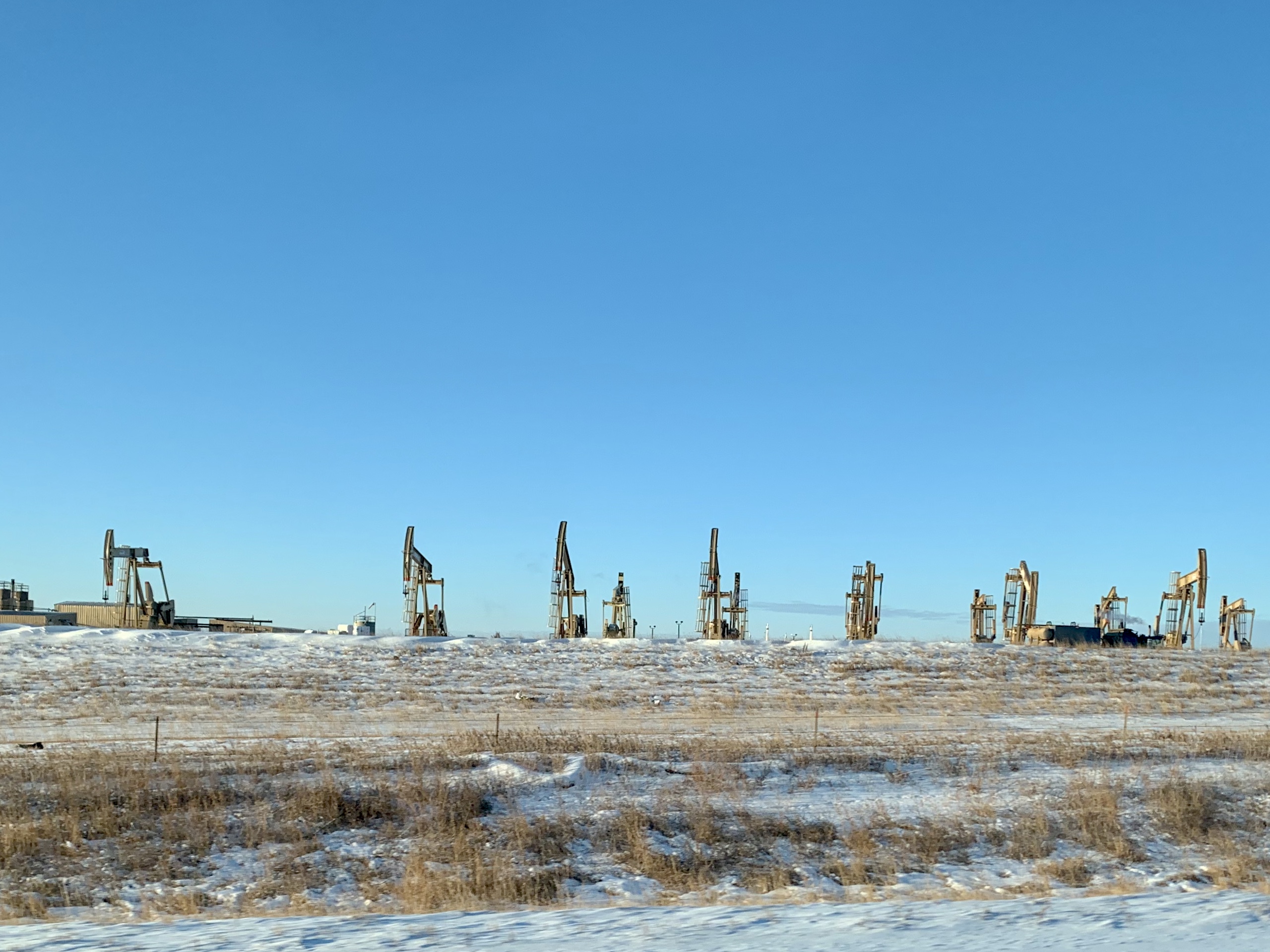 Many oil pumps at work in the Bakken Shale