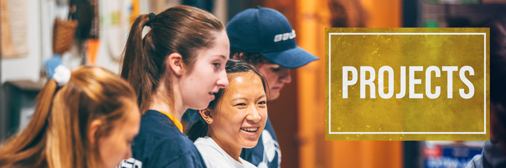 Banner with a picture of volunteers and to the right text that says "projects"