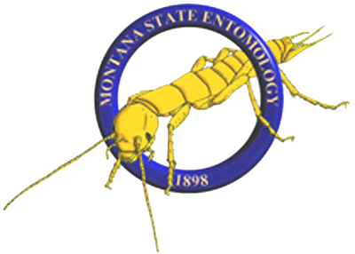 MSU Entomology Logo