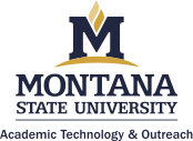 MSU Academic Technology & Outreach