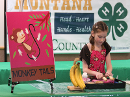 Use trays to organize supplies.  Consider coordinating supplies, posters, apron, etc.