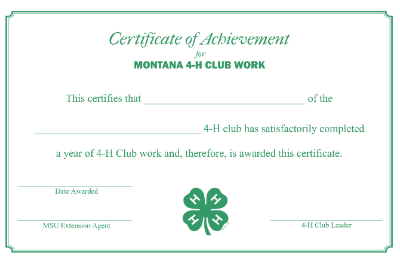 certificate of achievement on half page in green