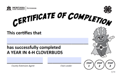 cloverbud certificate with superheor cartoon charecter