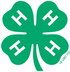 green 4-H clover logo with white H's.