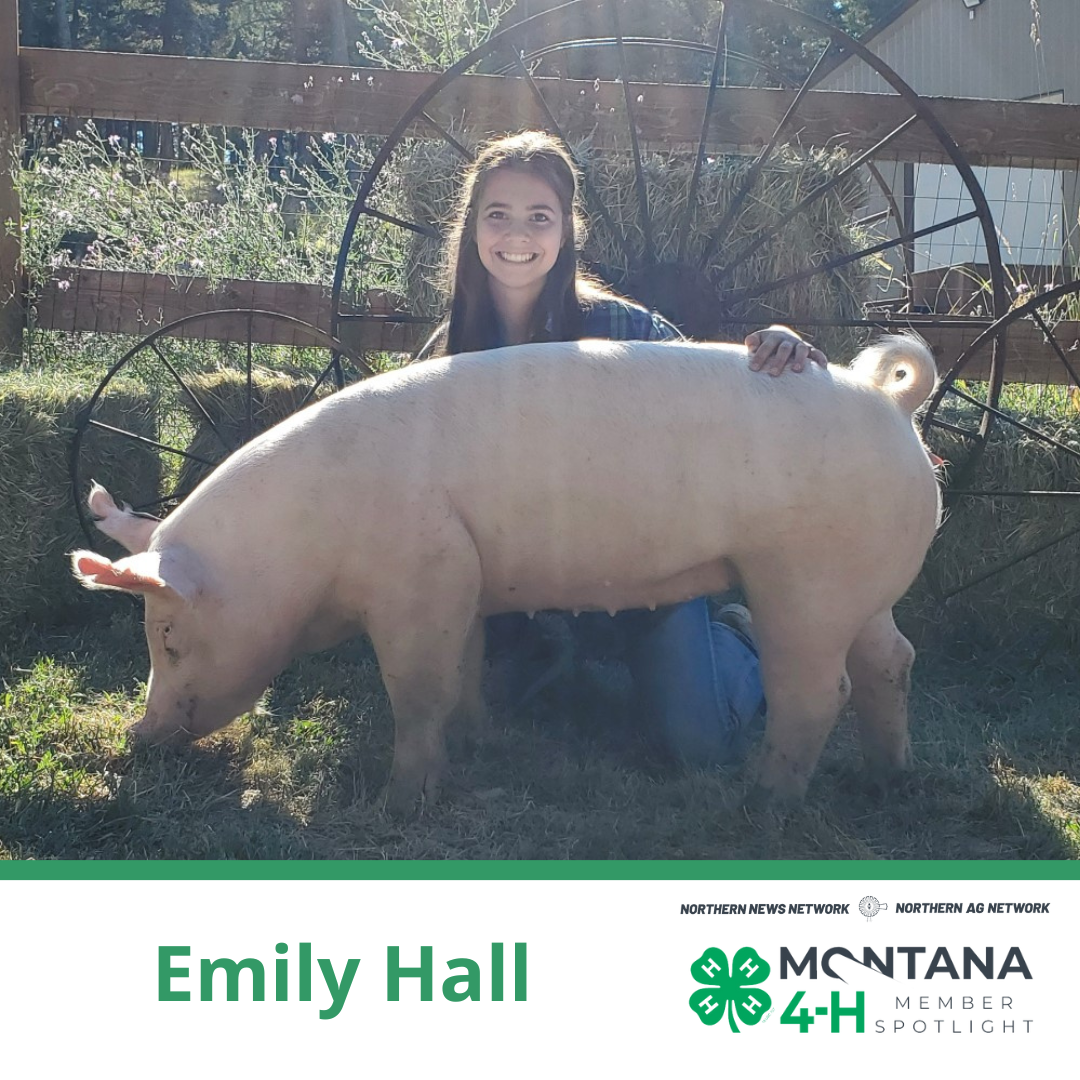 Emily Hall Emily Hall