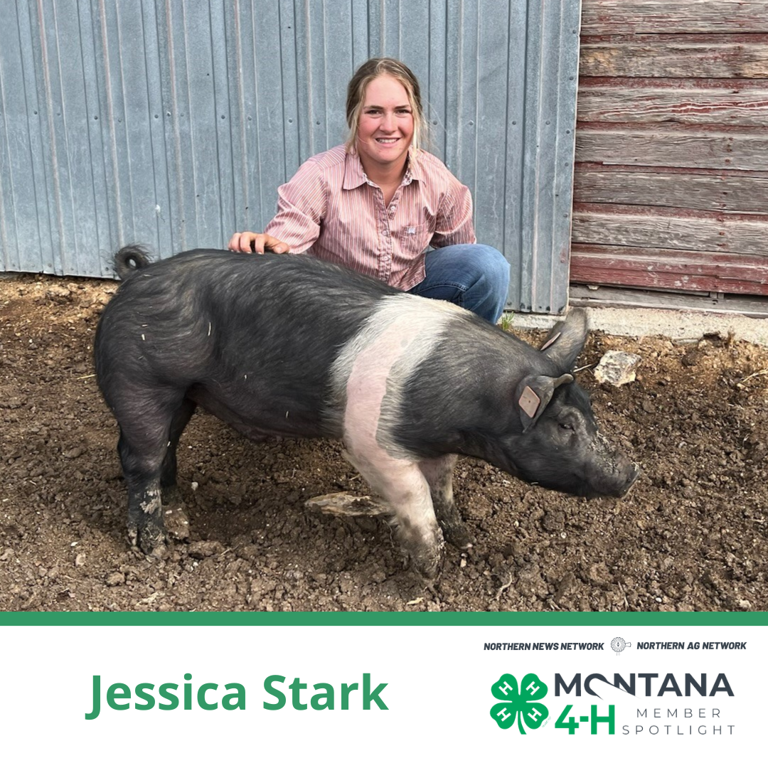 Jessica Stark with her pig