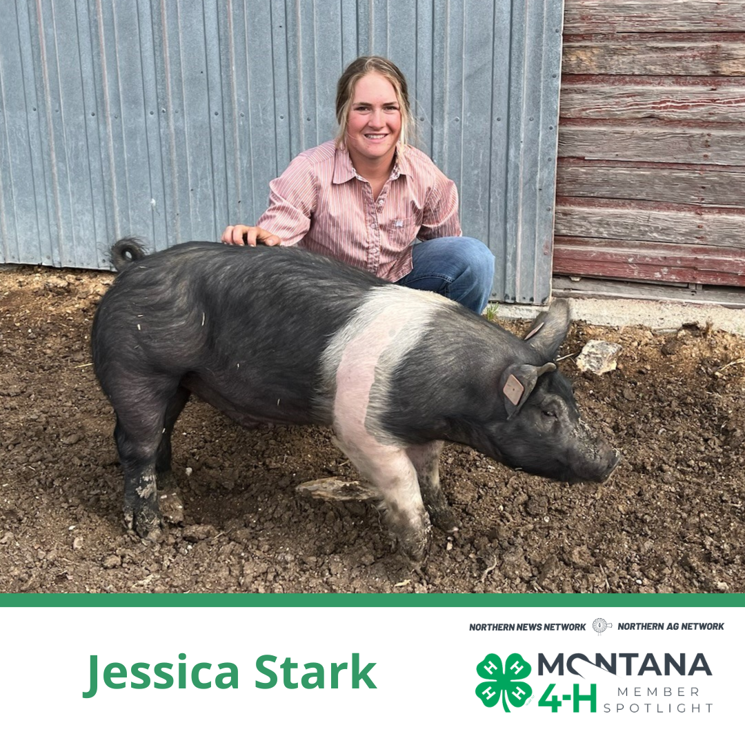 Jessica Stark Jessica Stark with her pig