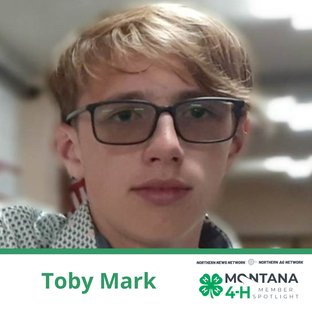 Toby Mark