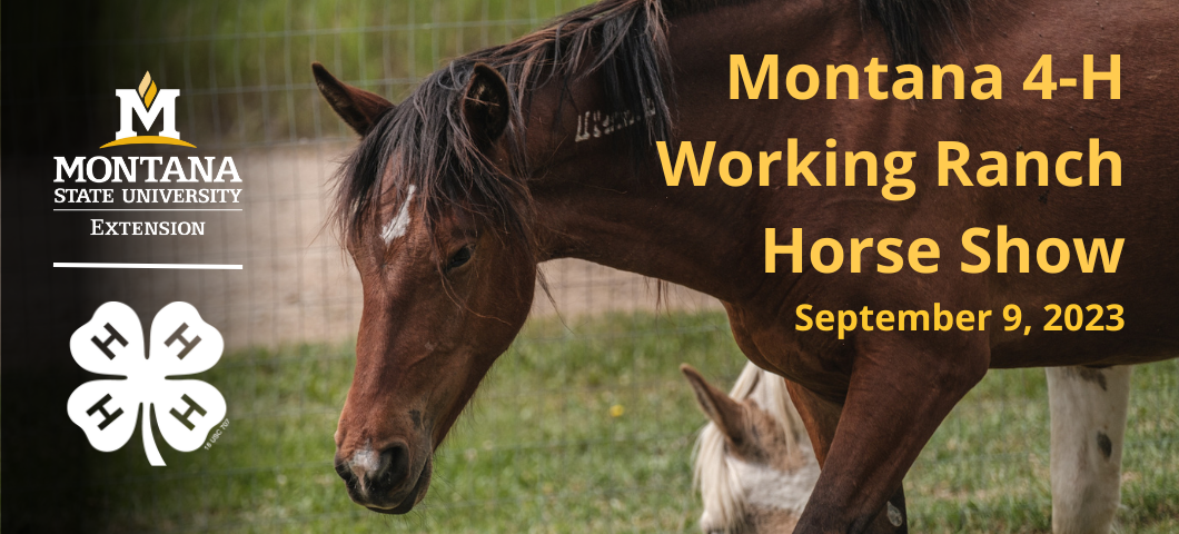 Working Ranch Horse Finals September 9 2023 (image of horse)