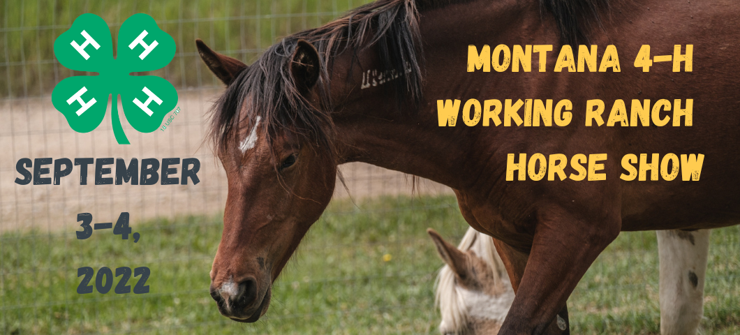 Montana Working Ranch Finals is September 3 and September 4, 2022.