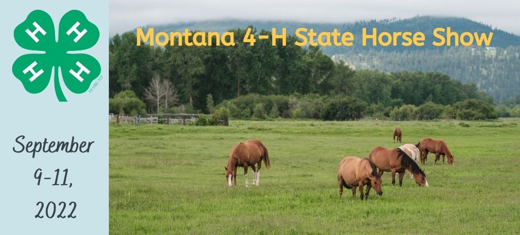 Montana 4-H State Horse Show is September 9-11, 2022.