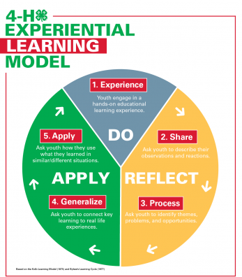 4-H experiencial learning model. pie chart with sections for do reflect and apply. 