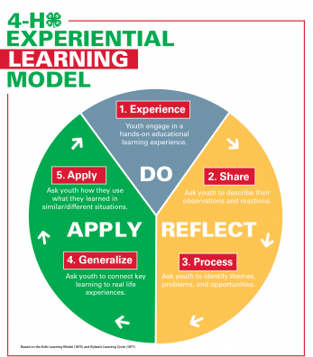 4-H experiencial learning model. pie chart with sections for do reflect and apply.