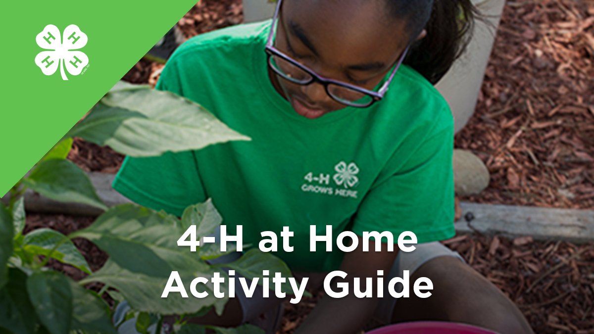 At home activity guide