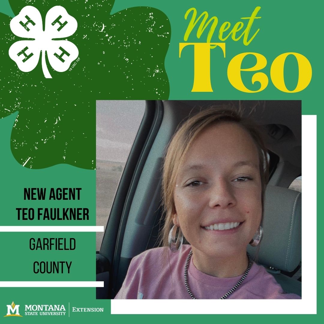 Teo Faulkner Garfiled County Agent Teo Faulkner Garfiled County Agent