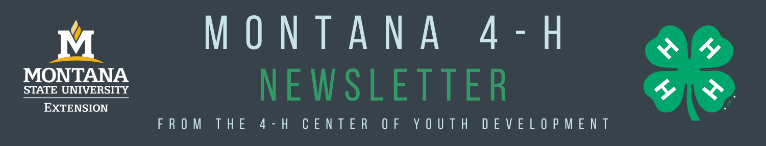 4-H Newsletter