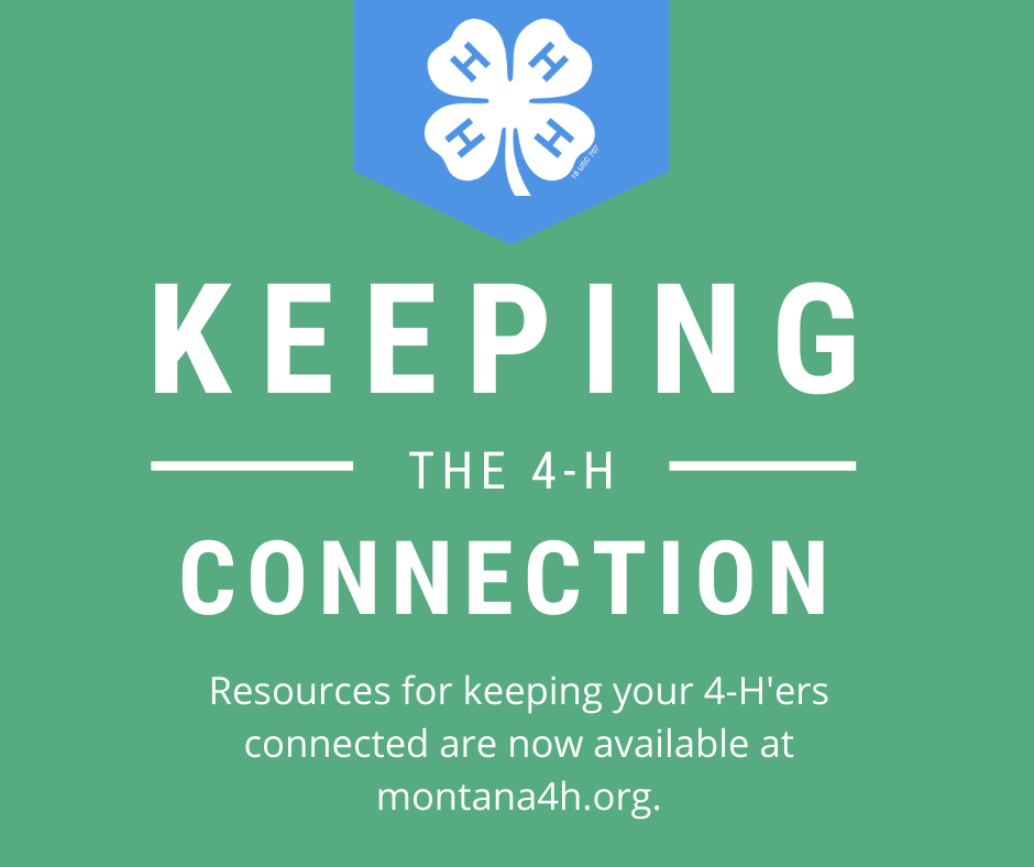4h connection
