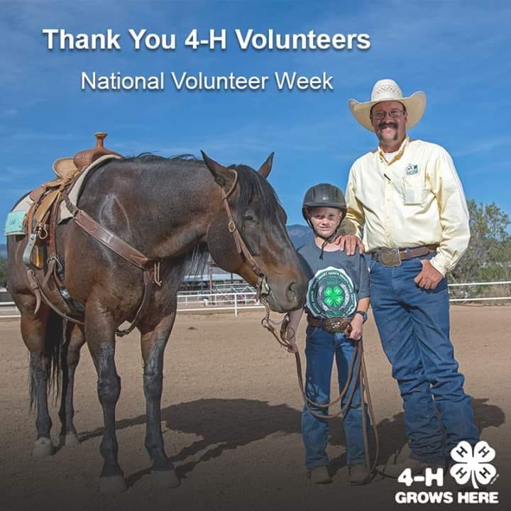 volunteer appreciation