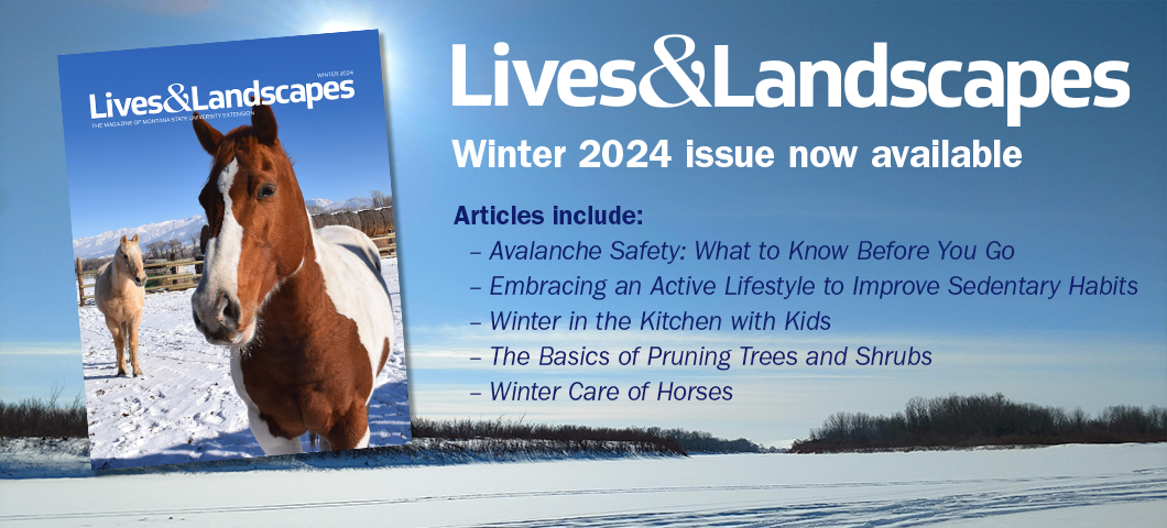 Lives & Landscapes Winter 2024 issue is now available!