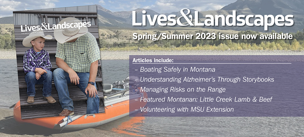 Lives & Landscapes Spring/Summer 2023 issue is now available!