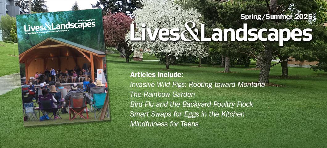 The latest issue of Lives and Landscapes is displayed on a background image of a green lawn with trees blooming in the background. Text over top lists some of the article titles included in the issue.