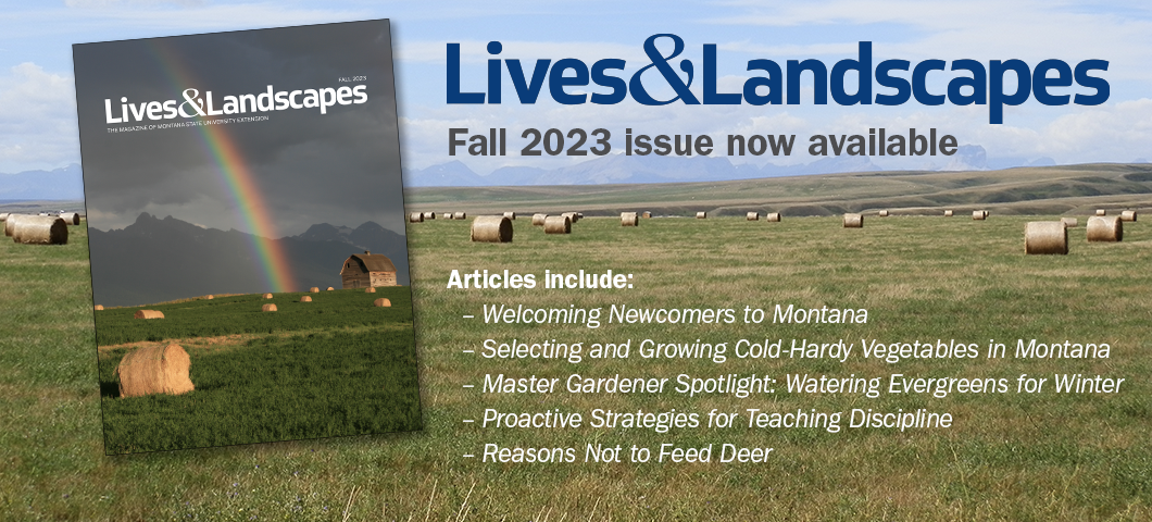 Lives & Landscapes Fall 2023 issue is now available!