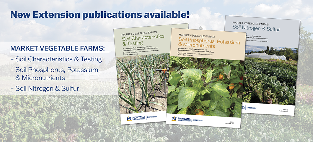 New market vegetable farm publications are available from Extension!