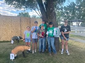 Dawson County 4-H archery competitors: Ave Werner, Camden Werner, Easton Wold, Kade Granmoe, Gradey Wold and Tori Engle